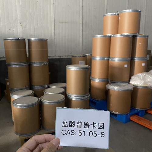 Procaine hydrochloride CAS:51-05-8
